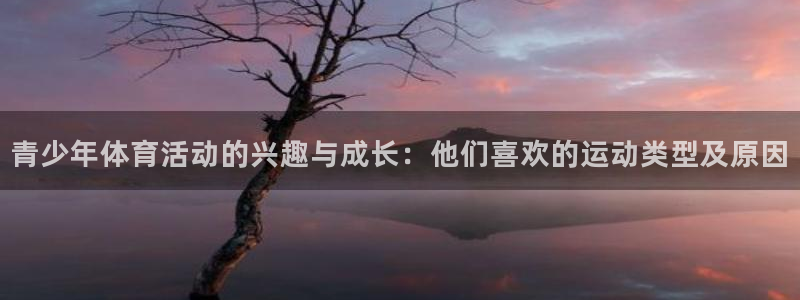 青少年体育活动的兴趣与成长：他们喜欢的运动类型及原因