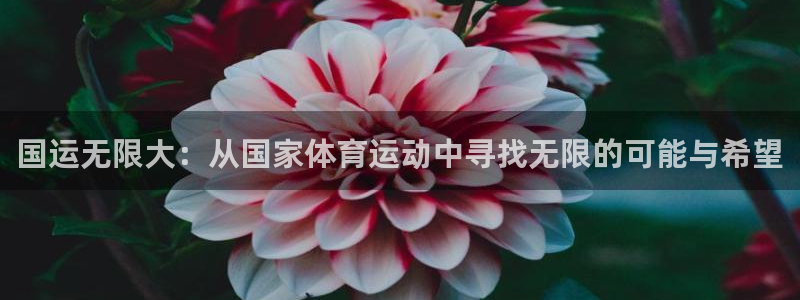 国运无限大：从国家体育运动中寻找无限的可能与希望