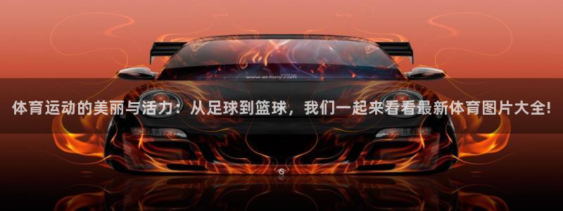 体育运动的美丽与活力：从足球到篮球，我们一起来看看最新体育图片大全!