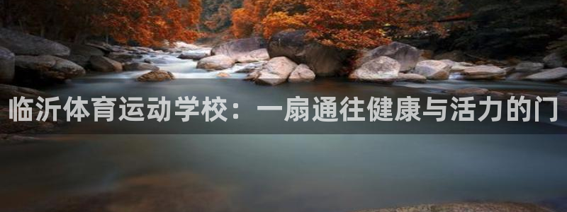 临沂体育运动学校：一扇通往健康与活力的门