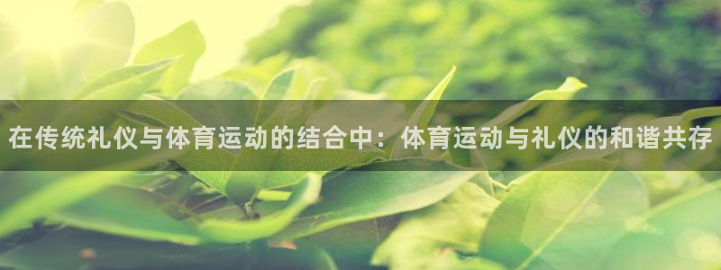 在传统礼仪与体育运动的结合中：体育运动与礼仪的和谐共存