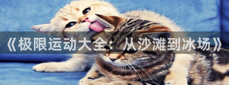 《极限运动大全：从沙滩到冰场》