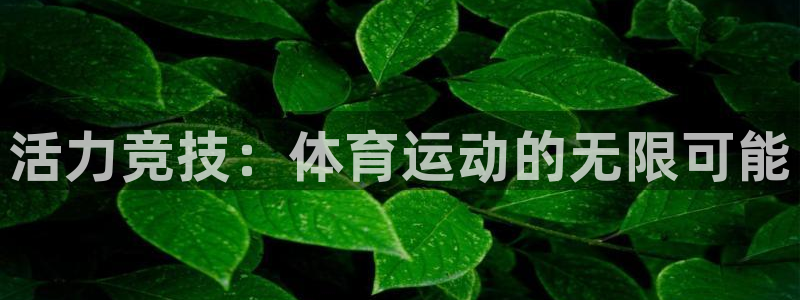 活力竞技：体育运动的无限可能