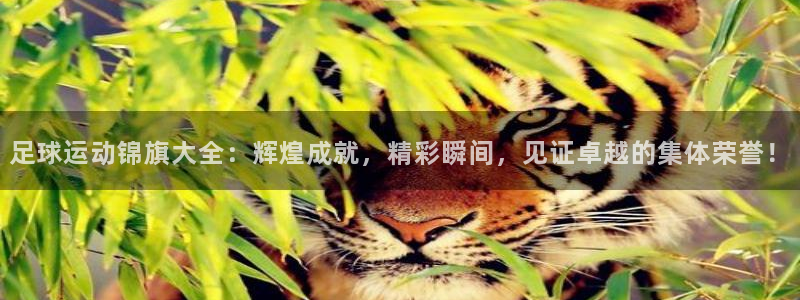 足球运动锦旗大全：辉煌成就，精彩瞬间，见证卓越的集体荣誉！
