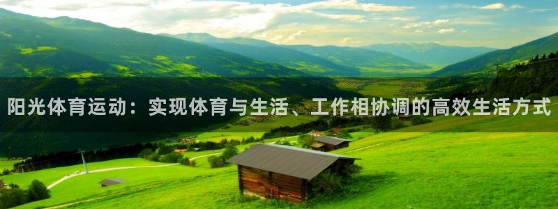 阳光体育运动：实现体育与生活、工作相协调的高效生活方式