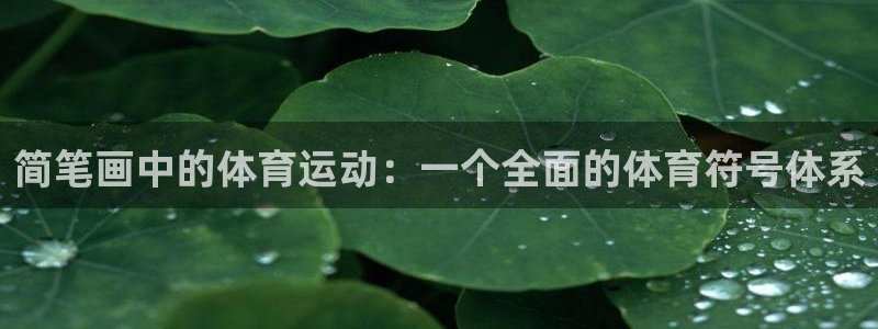 简笔画中的体育运动：一个全面的体育符号体系