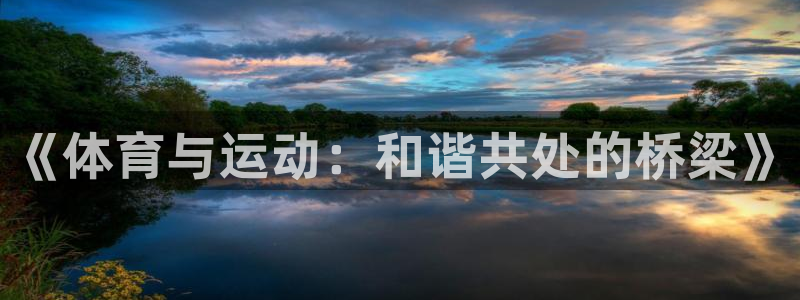 《体育与运动：和谐共处的桥梁》